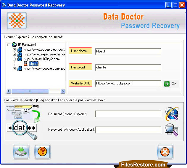 Internet Explorer Password Recovery